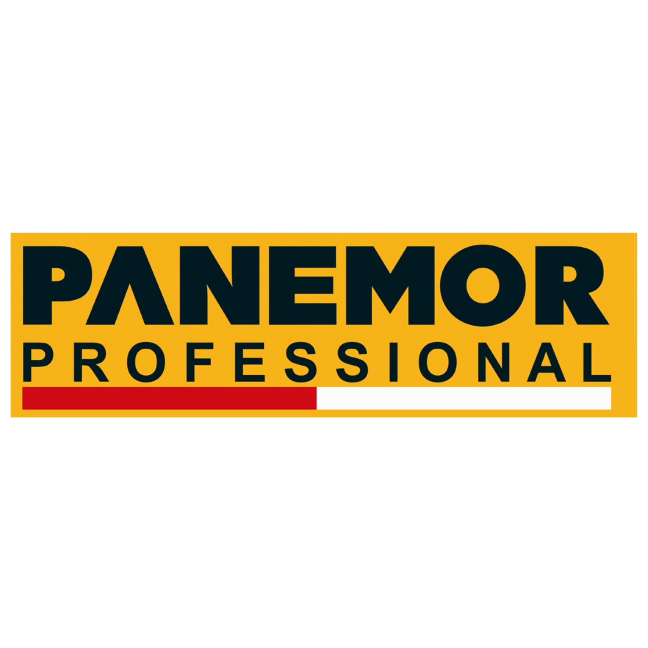 Panemor Makine Sanayi Ve Ticaret Limited Şirketi Panemor Makine Sanayi Ve Ticaret Limited Şirketi
