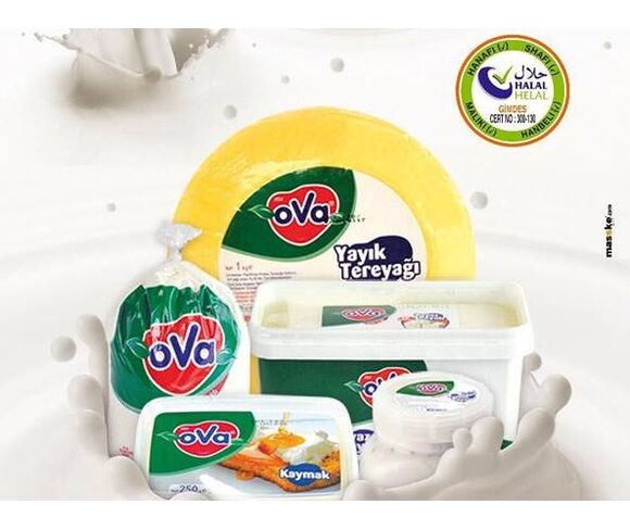 Milk and Dairy Products