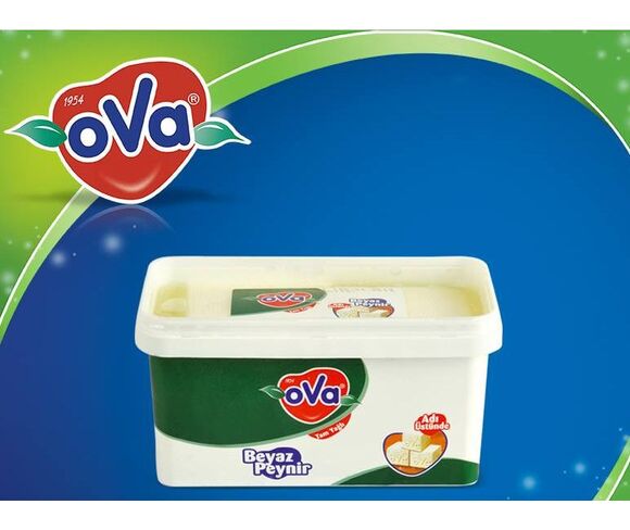 Milk and Dairy Products