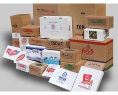 Plastic Packing Boxes