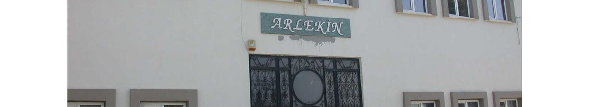 Arlekin Halıcılık Ve El Sanatları Sanayi Ve Ticaret Limited Şirketi