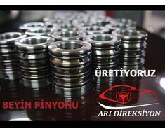 Beyin Pinyonu