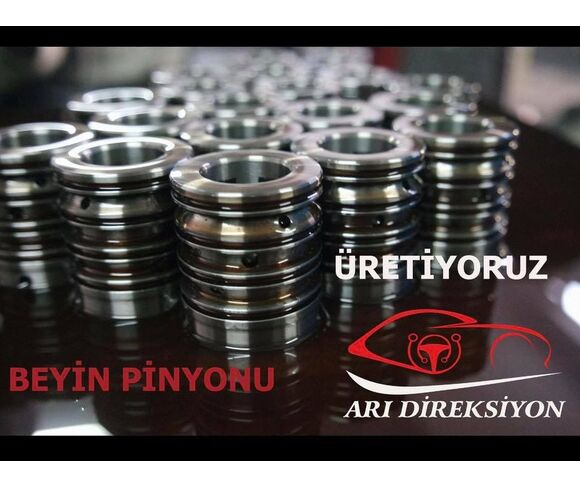 Beyin Pinyonu