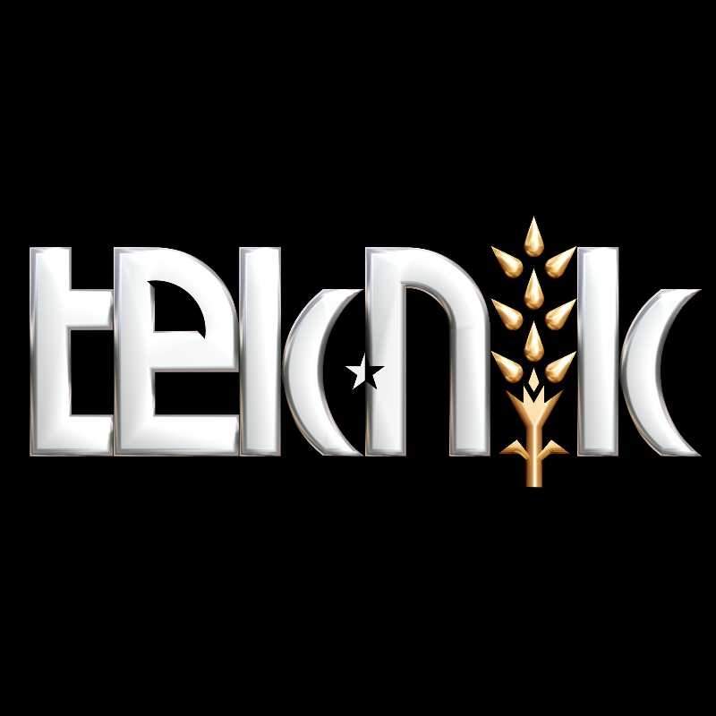 Teknik Değirmen Mak. San. Ve Tic. Teknik Değirmen Mak. San. Ve Tic.