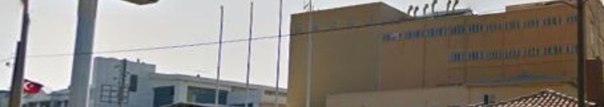 Arı Un Fabrikası San. ve Tic. A.ş.