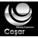 Coşar Nikelaj Coşar Nikelaj