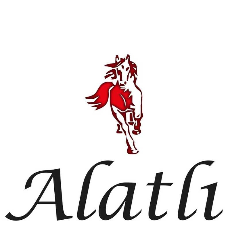 Alatlı Ayakkabı Alatlı Ayakkabı