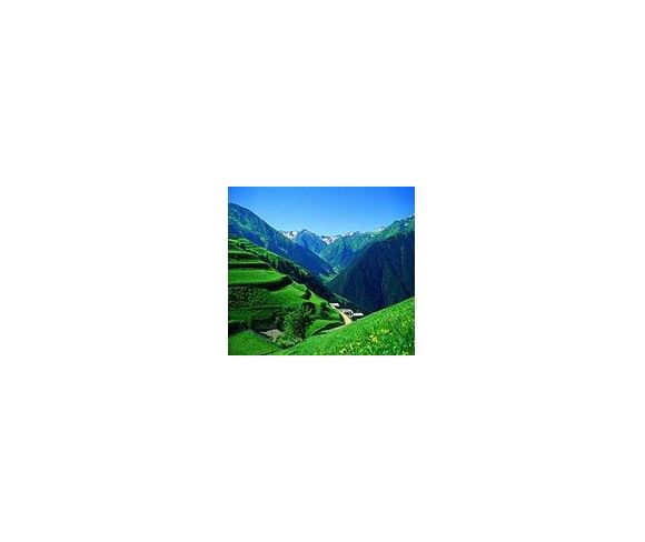 Cultural Tours