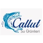 Callut Tarım Turizm Ve Su Ürün İth. İhr. San. Tic. Ltd. Şti. Callut Tarım Turizm Ve Su Ürün İth. İhr. San. Tic. Ltd. Şti.
