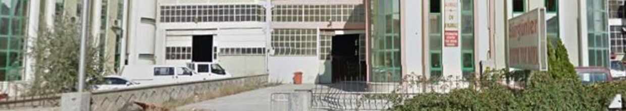 Sürgünler Statik Boya