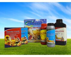 Nutrition Des Plantes