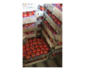 Fruta - Verdura