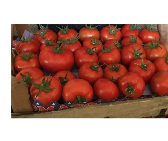Fruta - Verdura