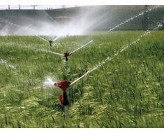Irrigation