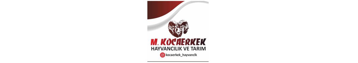 Kocaerkek Tarım Sanayi Ve Ticaret Limited Şirketi