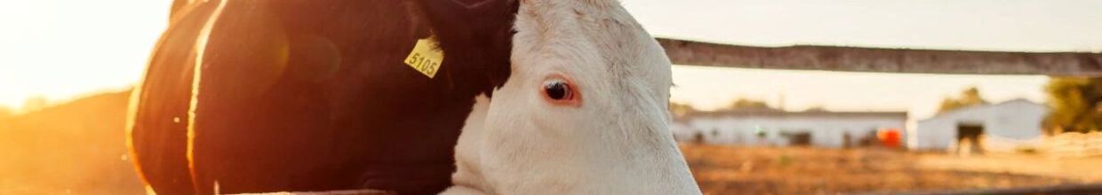 Uzsan Tarım Hayvancılık Ekipmanları