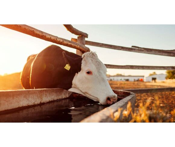 Uzsan Tarım Hayvancılık Ekipmanları