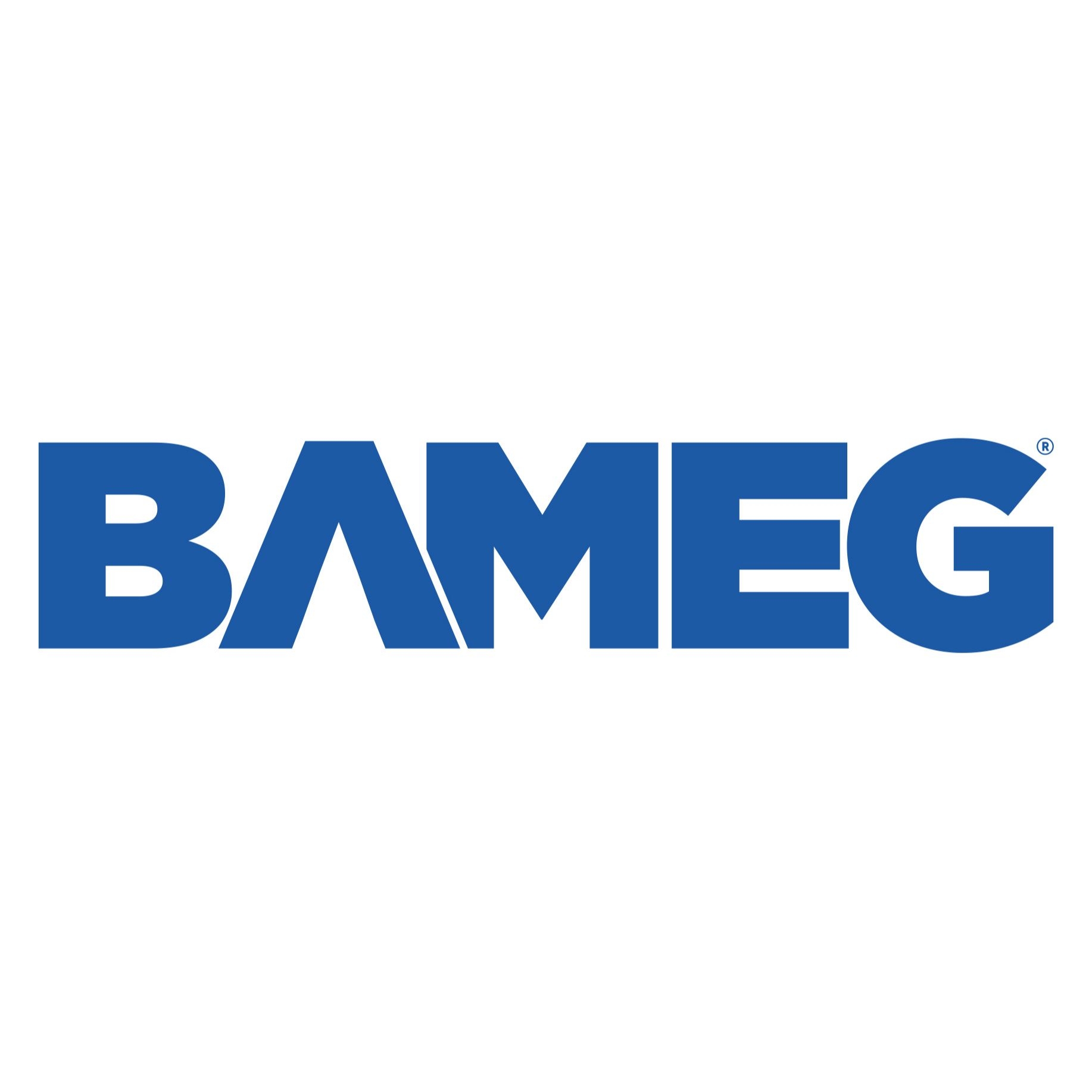 Bameg Otomotiv Sanayi Ticaret Limited Şirketi Bameg Otomotiv Sanayi Ticaret Limited Şirketi