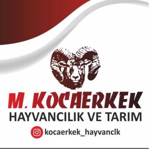 Kocaerkek Tarım Sanayi Ve Ticaret Limited Şirketi Kocaerkek Tarım Sanayi Ve Ticaret Limited Şirketi