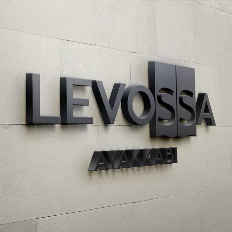 Levossa Ayakkabı İmalat Sanayi Ve Ticaret Limited Şirketi Levossa Ayakkabı İmalat Sanayi Ve Ticaret Limited Şirketi